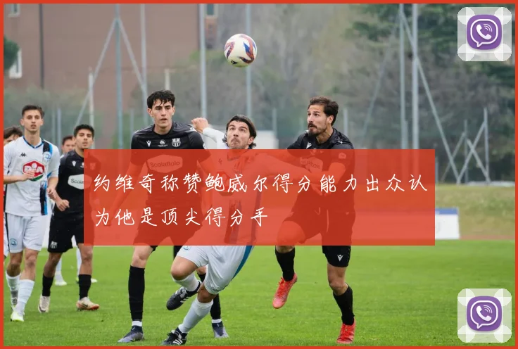 约维奇称赞鲍威尔得分能力出众认为他是顶尖得分手