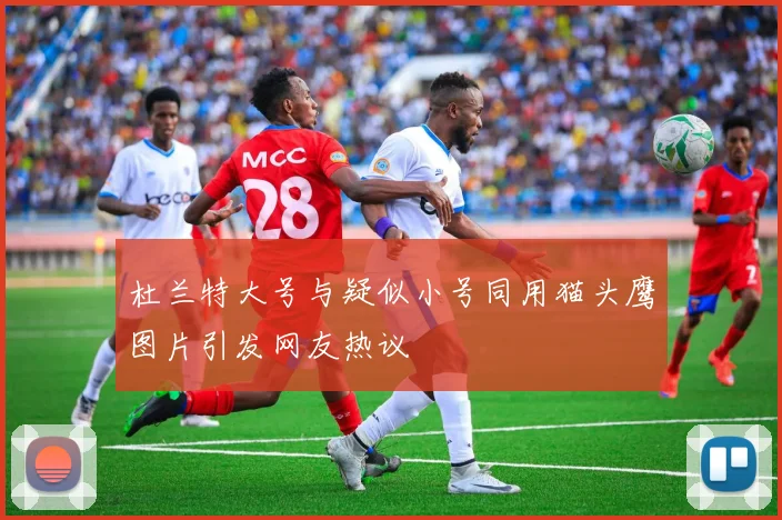 杜兰特大号与疑似小号同用猫头鹰图片引发网友热议