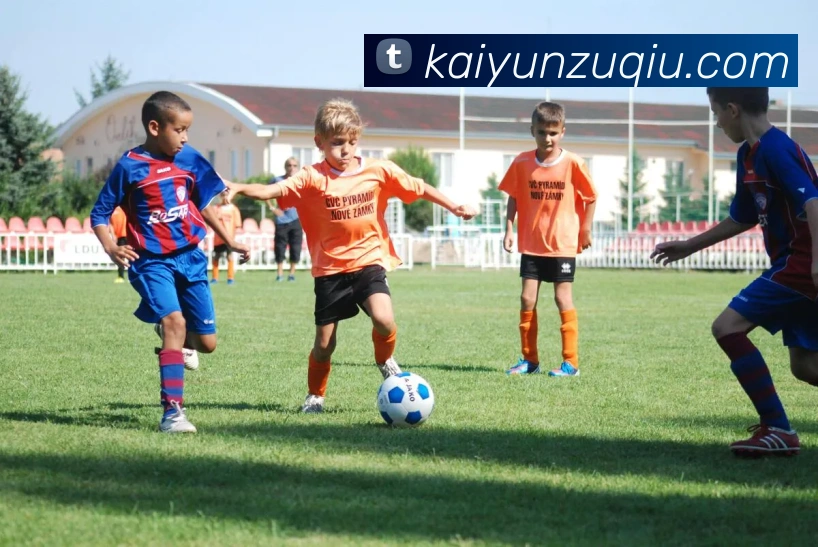 开云足球APP 封面图